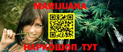 индика Нижний Тагил