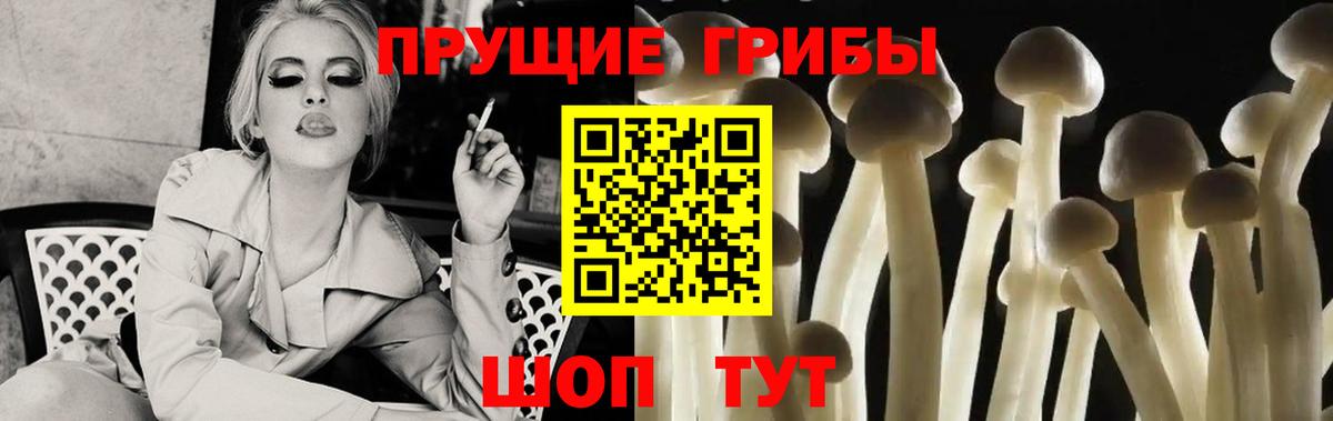 Галлюциногенные грибы Psilocybine cubensis  Псилоцибиновые грибы прущие грибы  Междуреченск  Вход с VPN 